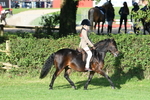 SBM_54036
