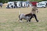 WJ6_5414
