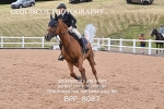 BPP_8083