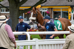 260724-Graham Lee Stable Staff Stakes-2940