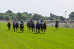 130625-Race 2-Carnation Queen-8601