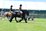 SBM_07882