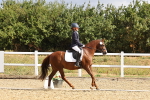 SBM_003668