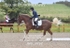 BPP_9762
