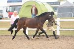 SBM_08506