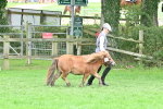 SBM_61024