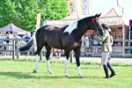 SBM_12169