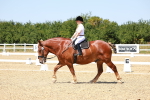 SBM_011814
