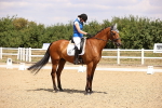 SBM_007384