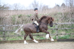SBM_006334