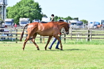 SBM_12873