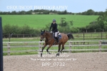 BPP_0732