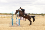 SBM_005198