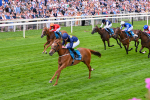 260725-Race 1-Golden Palace-7106