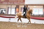 BPP_8726