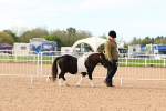 SBM_16613