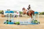 SBM_018285