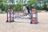 BPP_7848