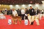 males Intermediate class 2