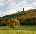 Callow Hill and Flounder's Folly