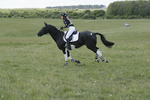 BVHT 140517  IXC -887