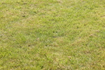 SBM_02210