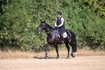 WJ6_6727