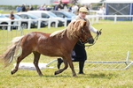DSC05929
