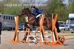 BPP_2592