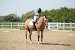 SBM_009984