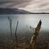 Lough Leane