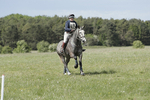 BVHT 140517  NXC -569