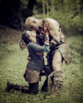 Norse-343