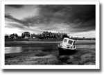 Dakota ♦ ALNMOUTH