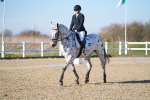 SBM_004234
