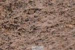 260428-165803-00177