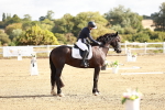 SBM_009816
