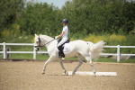 SBM_008981