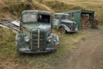 Old timers NZ