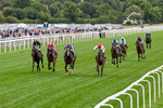 210826-Race 2-Al Nayyir-0110