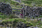 Scafell Pike-694