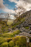 Hidden Combe