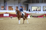 SBM_06671