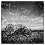 ERRATICS B&W - CAPE FREELS