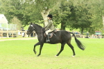 SBM_73987