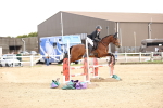 SBM_003962