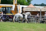 SBM_15380