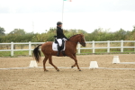 SBM_009621