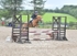 BPP_5434