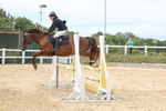 3E7A9135